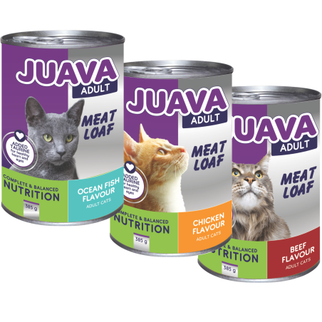 Cat Tin Foods